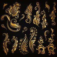 Vector set of floral elements N5