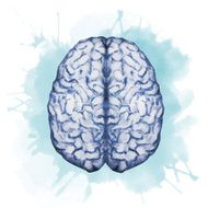 Watercolor brain N6