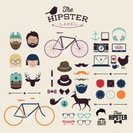 Hipster style infographics elements and icons N13