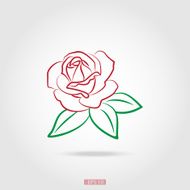 silhouette of rose