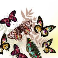 Butterfly fashion pattern