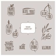 vector set of hand drawn vegan logos