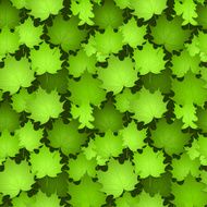 Green Leaves on Seamless Background N2