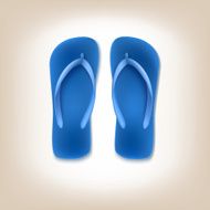 Beach Slippers Icon