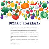 Vector Vegetables Background in Flat Style N4