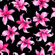 pattern of lily N4