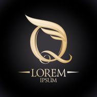 Logo with letter Q and wing
