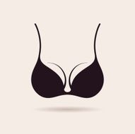 Bra icon logo Vector illustration Vintage label design