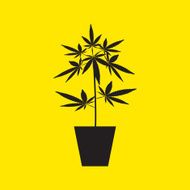 marijuana Cannabis icons vector illustration eps 10