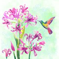 exotic flowers and humming bird