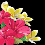 Floral Pattern N331