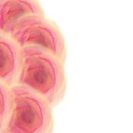 Floral background N331
