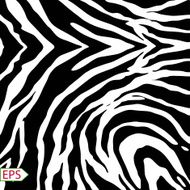Vector zebra background with black stripes N3
