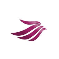 vector 3d abstract wing flying logo for company N5