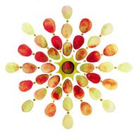 Abstract watercolor sun flower figure