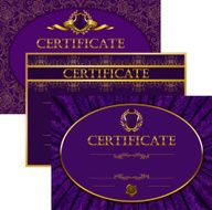 Elegant template of certificate diploma N15