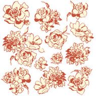 flower material N69