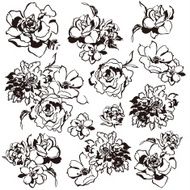 flower material N72