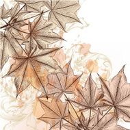 Autumn floral background with maple leafs