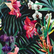 tropical pattern N10