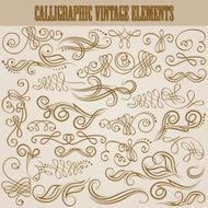 Vector set of floral elements N6