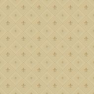 Vintage Pattern Wallpaper for Your Design Brown N16