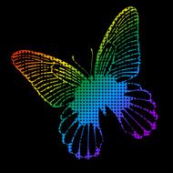 Colorful butterfly icon