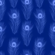 Vector seamless pattern peacock feathers N2