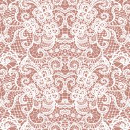 Lace seamless pattern with flowers N132