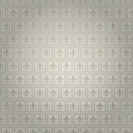 Wallpaper Background Silver N50