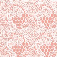 Lace seamless pattern with flowers N133