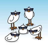 Five White Chicks Wearing Ladies Sunglasses Staring