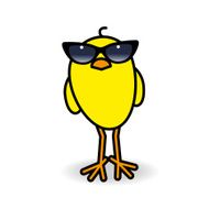 Yellow Chick Wearing Ladies Black Sunglasses Staring forward