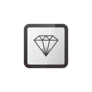 diamond jewelry N29