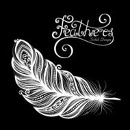 Vector Peerless Decorative Feather N2
