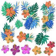 Hibiscus illustration N12