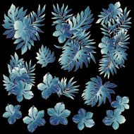 Hibiscus illustration N13