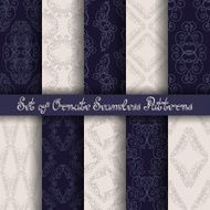 Vector Set of 10 Ornate Seamless Patterns N3
