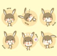 cony action