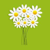 Flora Daisyl Design Vector Illustartion N33