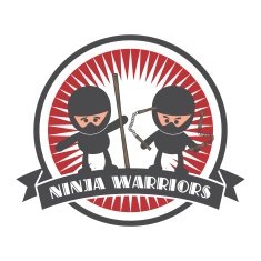 ninja sticker label N2