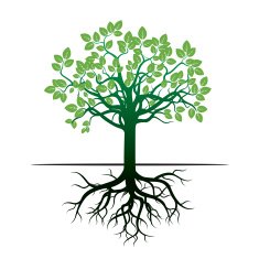 Tree and Roots Vector Illustration N4