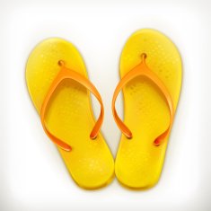 Flip Flops vector icon N2