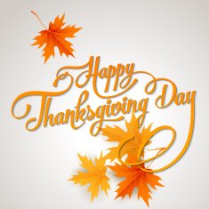 Happy Thanksgiving Day N9