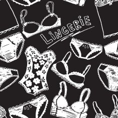 Hand drawn vector sexy lingerie set N8