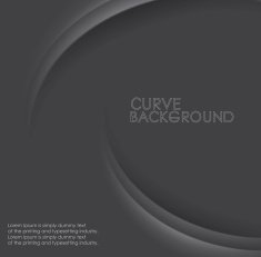 Vector curves background N13