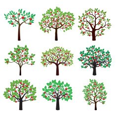 Set of Apple Trees Vector Illustration