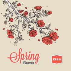 Spring Flower Branch