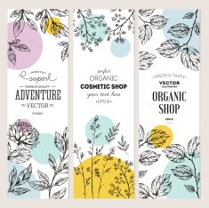 Botanical banner collection Organic cosmetic Vector illustration N2