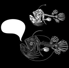 Fish Skeleton N14